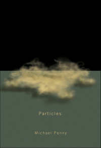 Omslagafbeelding: Particles 9780773538467