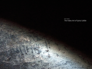 Cover image: The Video Art of Sylvia Safdie 9780773541696