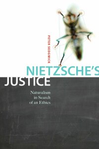 صورة الغلاف: Nietzsche's Justice 9780773542686