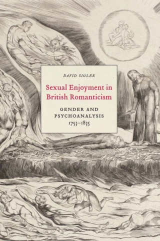 Titelbild: Sexual Enjoyment in British Romanticism 9780773545090