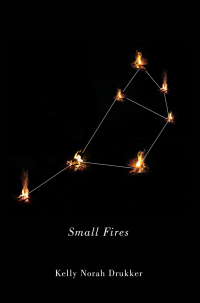 Cover image: Small Fires 9780773547704