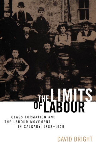 Imagen de portada: The Limits of Labour 1st edition 9780774806961
