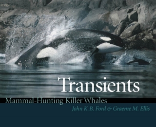 Cover image: Transients 1st edition 9780774807173
