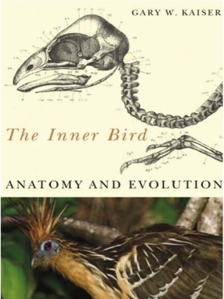 Cover image: The Inner Bird 1st edition 9780774813433