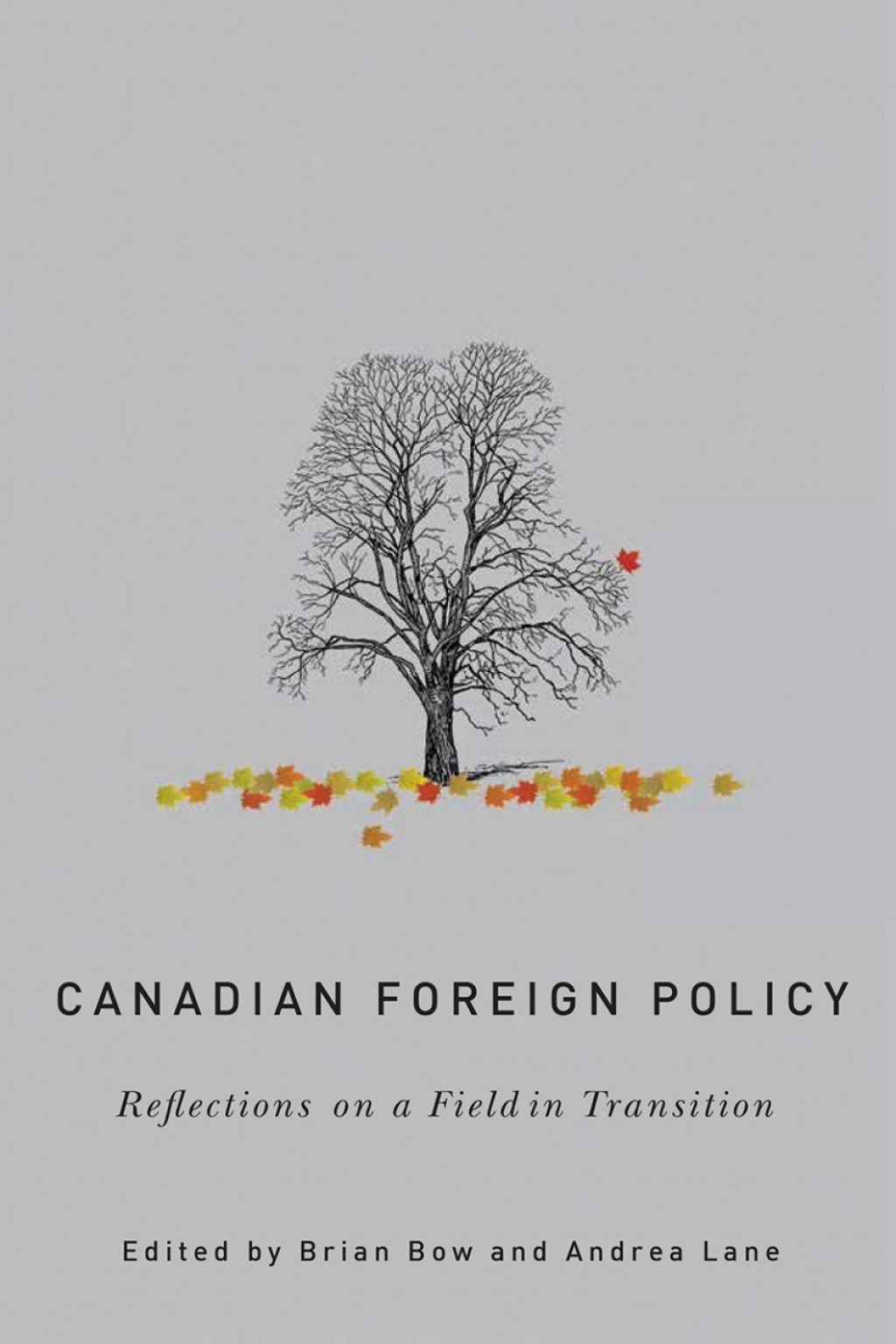 Canadian Foreign Policy Reflections on a Field in Transition