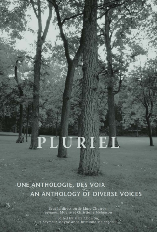 Cover image: Pluriel 9780776606118