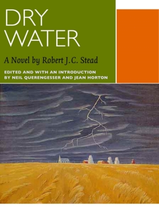 Cover image: Dry Water 9780776606750