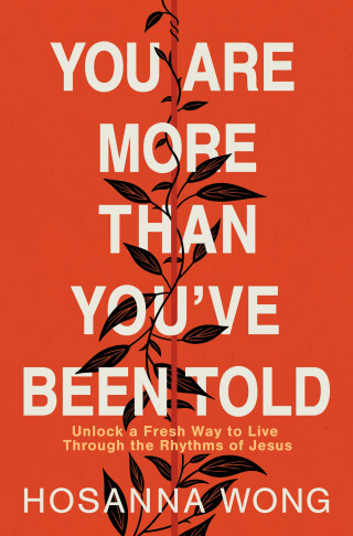 Cover image: You Are More Than You've Been Told 9780785243502