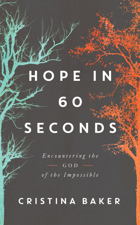 Hope in 60 Seconds : Encountering the God of the Impossible - FULL INSTANT DOWNLOAD | PDF DOCX EPUB