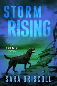 Cover image: Storm Rising 9781496704450