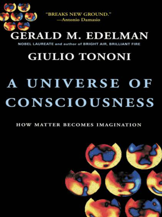 Cover image: A Universe Of Consciousness 9780465013760