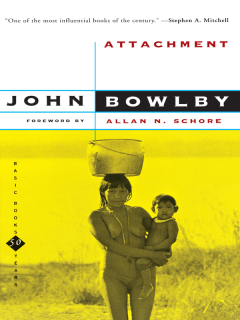 Attachment, 2nd Edition - FULL INSTANT DOWNLOAD | PDF DOCX EPUB