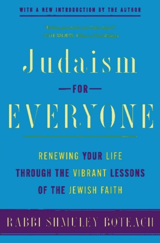 Cover image: Judaism for Everyone 9780465007943