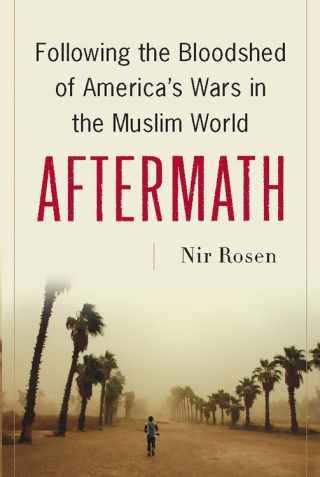 Cover image: Aftermath 9780786727582