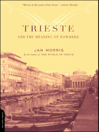 Cover image: Trieste And The Meaning Of Nowhere 9780306811807