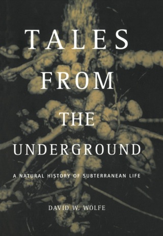 Cover image: Tales From The Underground 9780738201283