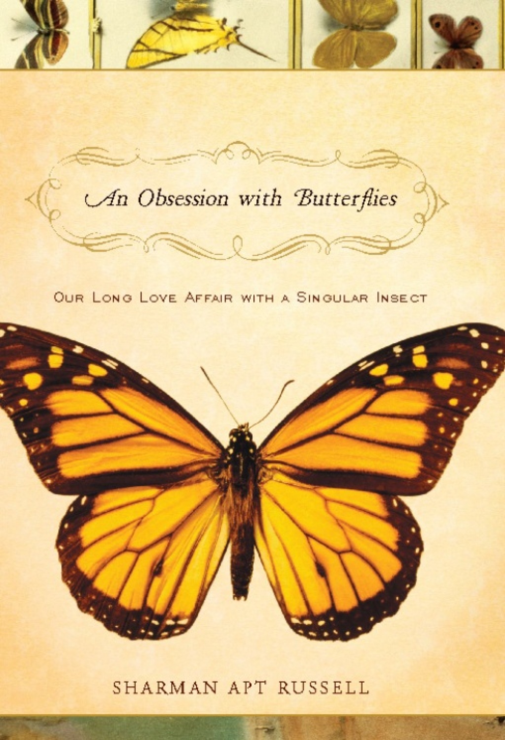An Obsession With Butterflies Our Long Love Affair With A Singular Insect