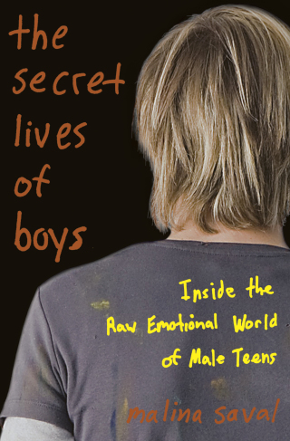 Cover image: The Secret Lives of Boys 9780786744602