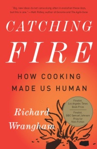 Cover image: Catching Fire 9780465013623