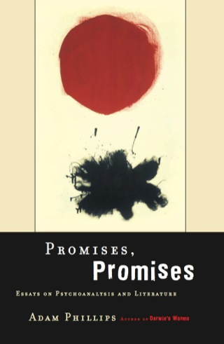 Cover image: Promises, Promises 9780465056774
