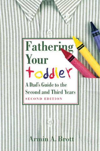 Cover image: Fathering Your Toddler: A Dad's Guide To The Second And Third Years 9780789208507