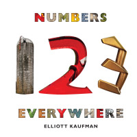 Cover image: Numbers Everywhere 9780789211576