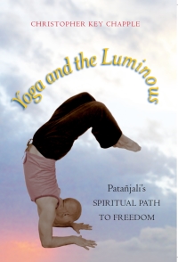 Cover image: Yoga and the Luminous 9780791474761