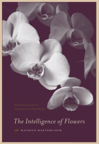 Immagine di copertina: The Intelligence of Flowers 9780791472736