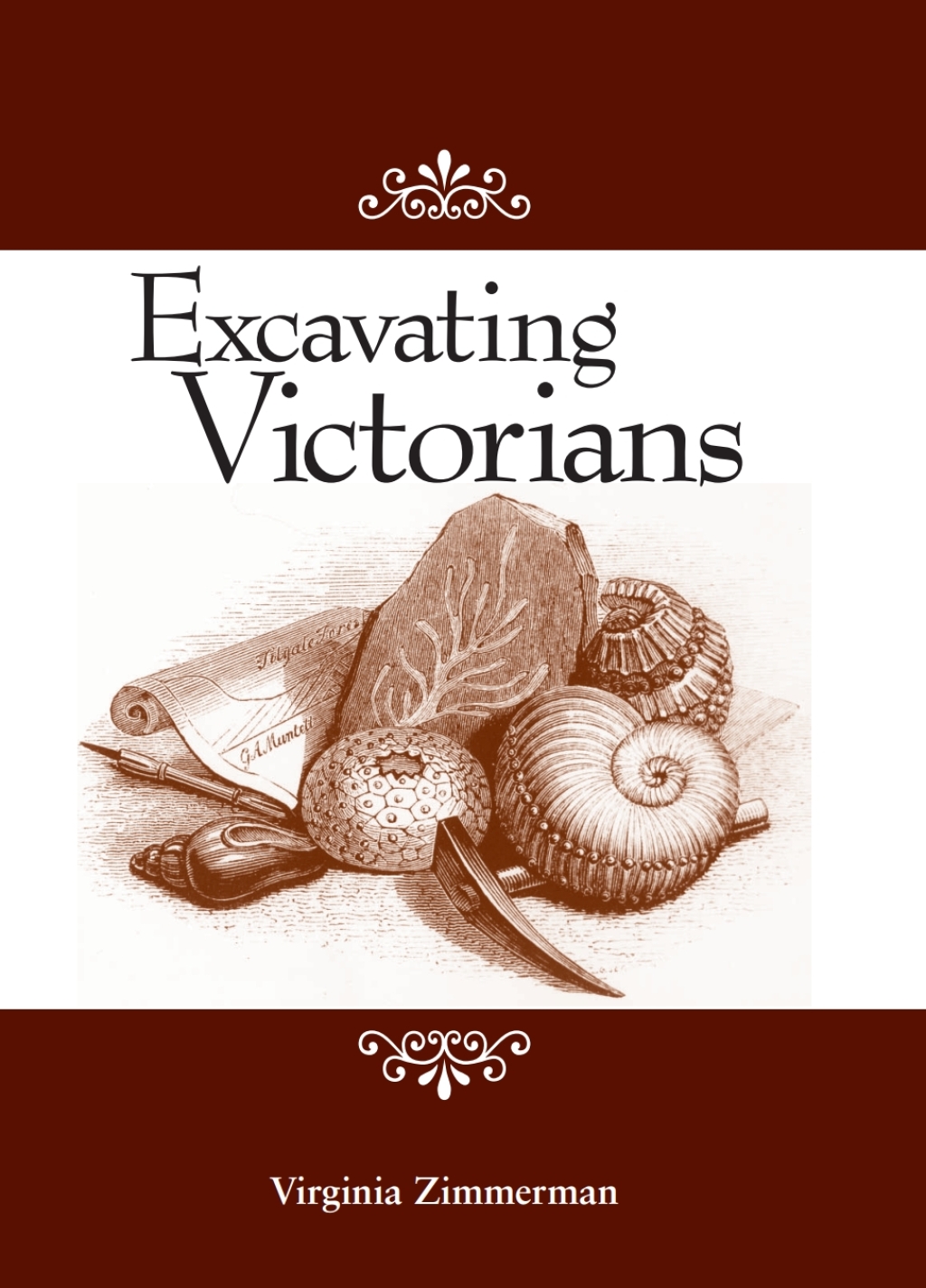 Excavating Victorians eBook
