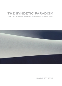 Immagine di copertina: The Syndetic Paradigm 9780791469828