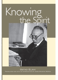 Omslagafbeelding: Knowing the Spirit 9780791468586