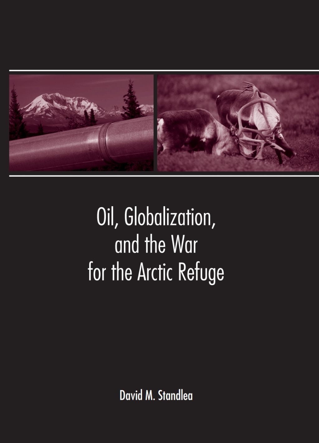 Oil Globalization and the War for the Arctic Refuge (eBook)