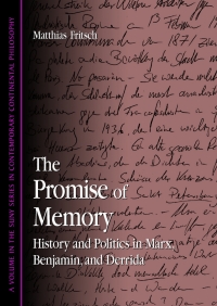 Cover image: The Promise of Memory 9780791465493