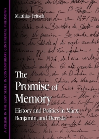 表紙画像: The Promise of Memory 9780791465493