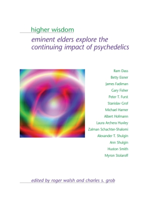 Imagen de portada: Higher Wisdom 9780791465189