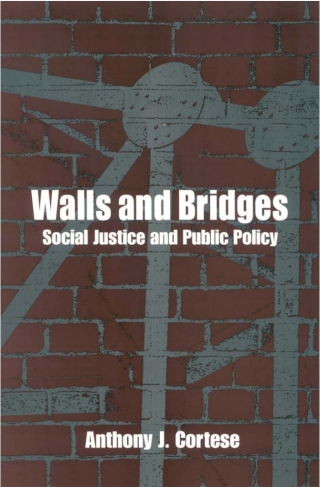 Cover image: Walls and Bridges 9780791459089