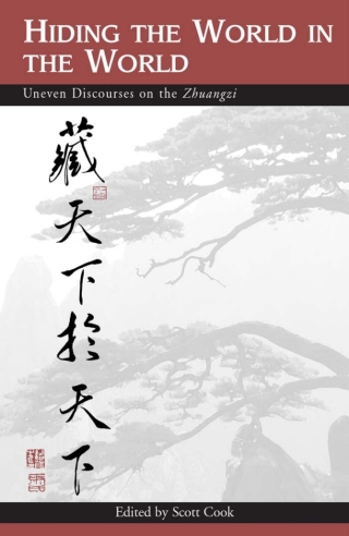Cover image: Hiding the World in the World 9780791458662