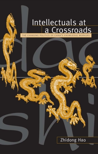 Imagen de portada: Intellectuals at a Crossroads 9780791455791