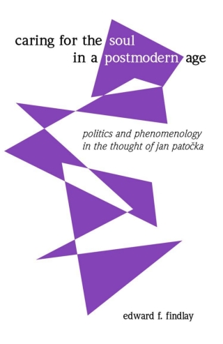 Cover image: Caring for the Soul in a Postmodern Age 9780791454855
