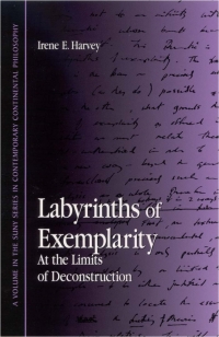 Cover image: Labyrinths of Exemplarity 9780791454640