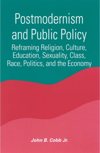 Cover image: Postmodernism and Public Policy 9780791451663