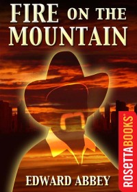 Cover image: Fire on the Mountain 9780795317392