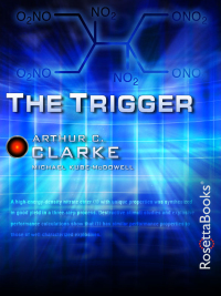 Immagine di copertina: The Trigger 9780795325908