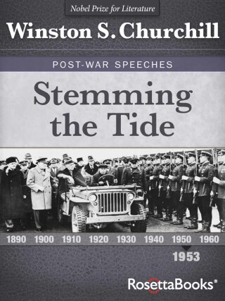 Imagen de portada: Stemming the Tide 9780795329616