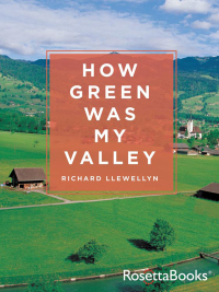 Cover image: How Green Was My Valley 9780795300240