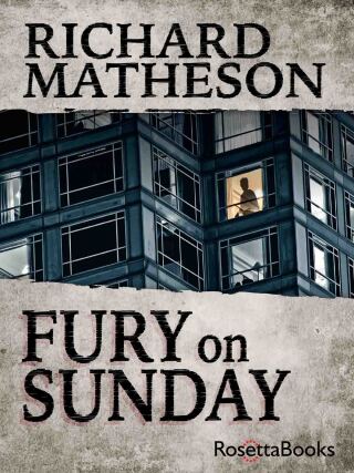 Cover image: Fury on Sunday 9780795336058