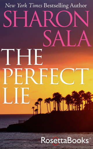 Titelbild: The Perfect Lie 9780795345241