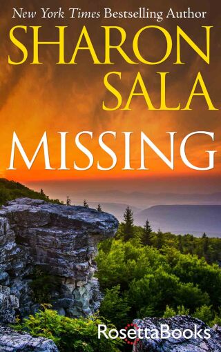 Imagen de portada: Missing 9780795300288