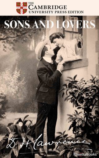 Cover image: Sons and Lovers 9780795351587