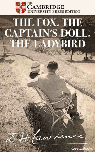 Titelbild: The Fox, The Captain's Doll, The Ladybird 9780795351617
